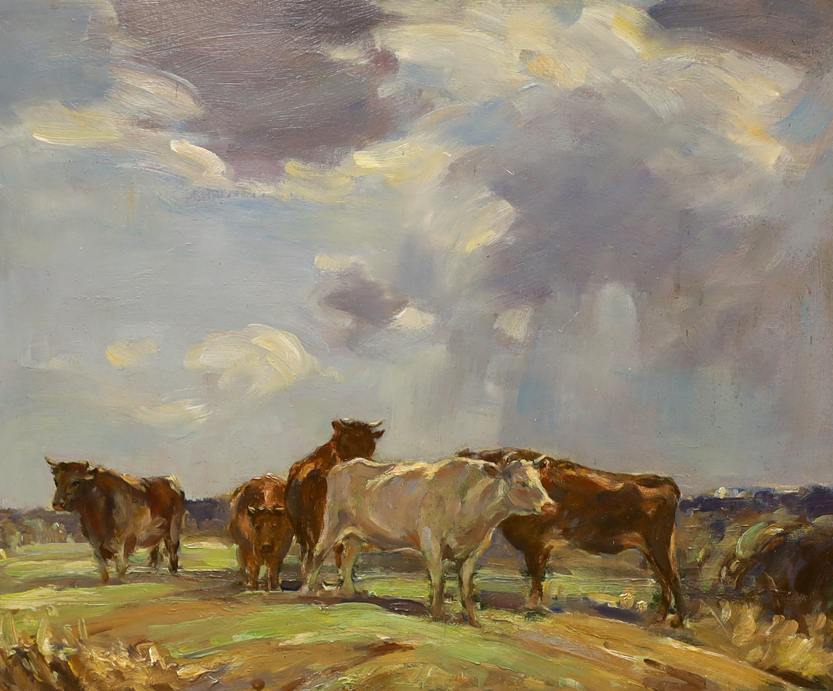 20th century modern British, oil on board, Highland cattle, 59 x 49cm
